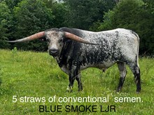 Blue Smoke LJR Semen
