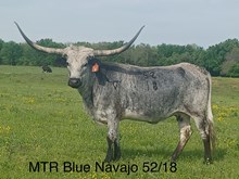 MTR BLUE NAVAJO 62/18